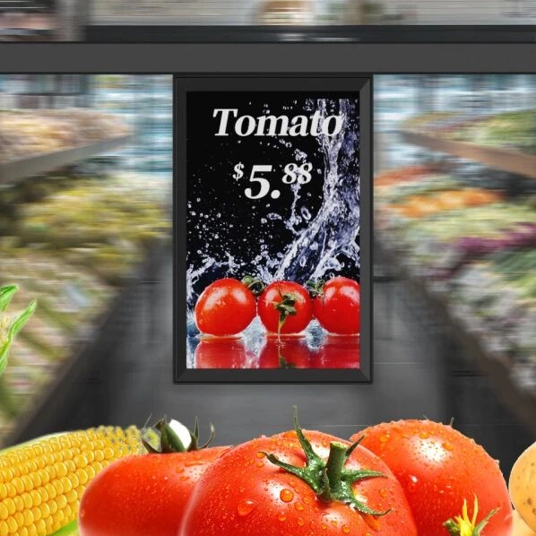 A Comprehensive Market Investigation And Investment Prospect Forecast of China's Digital Signage Industry