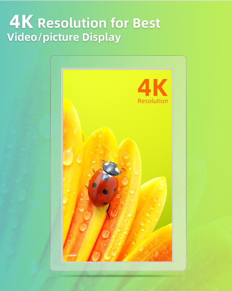 hanging window display (4)